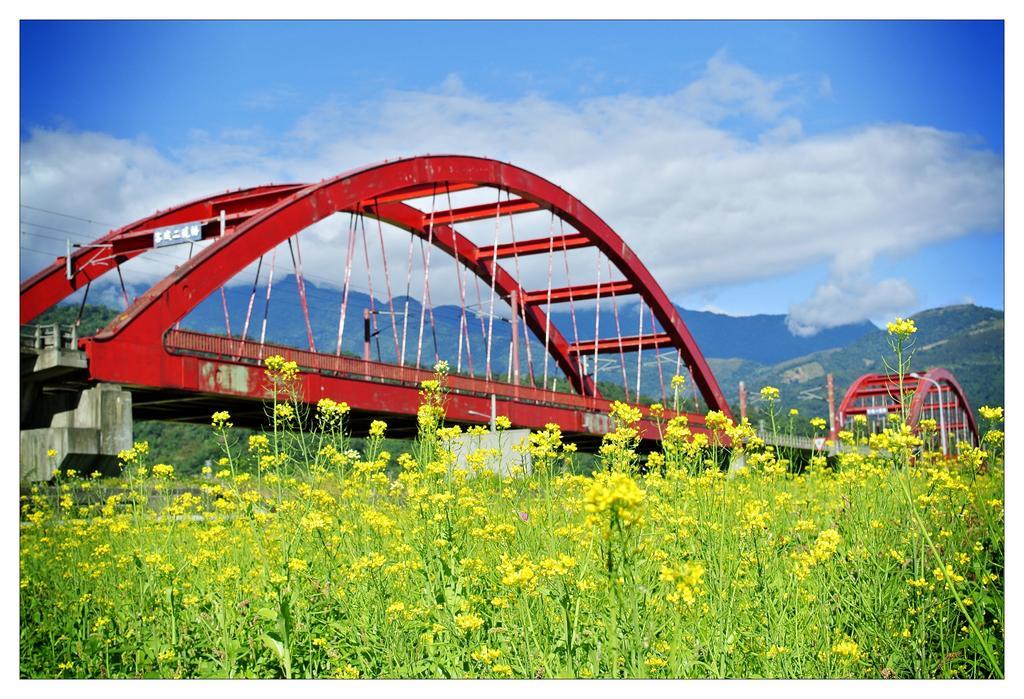Pu Shi Homestay Yuli Ngoại thất bức ảnh