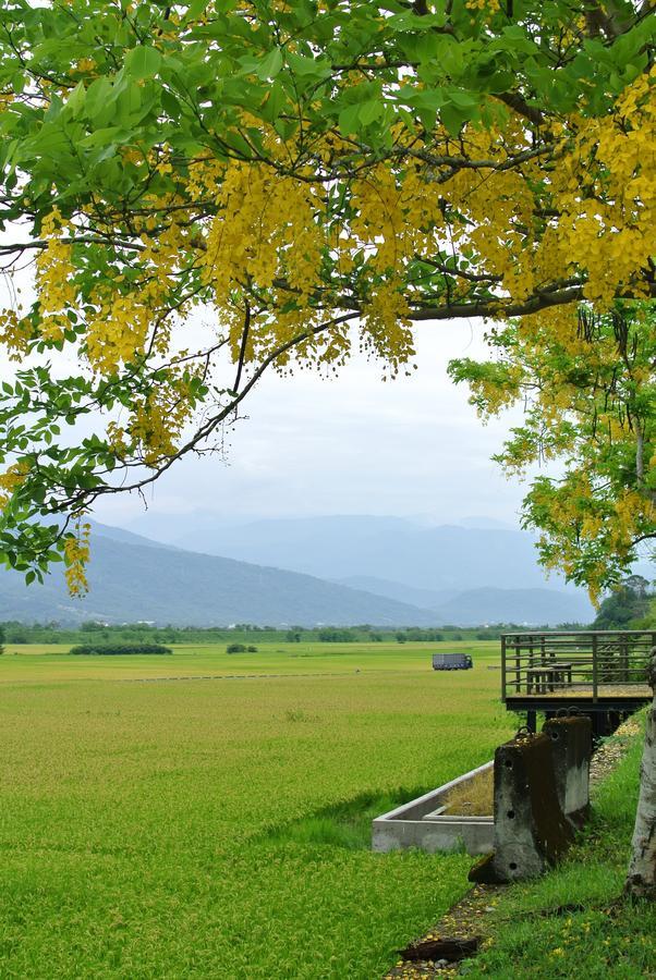 Pu Shi Homestay Yuli Ngoại thất bức ảnh