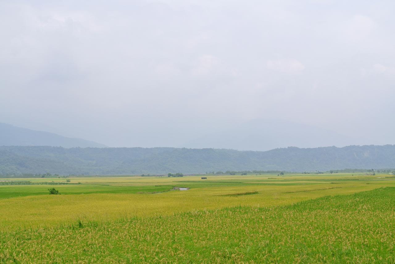 Pu Shi Homestay Yuli Ngoại thất bức ảnh